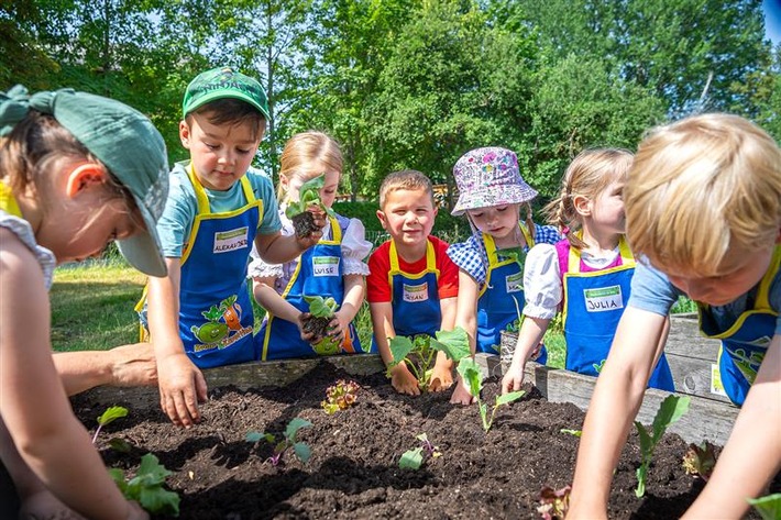 EDEKA Stiftung lässt Kitas aufblühen: 3.100 Gemüsebeete für nachhaltige Ernährungsbildung